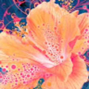 Meet your Posher, Anna gray